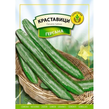 Краставици Гергана