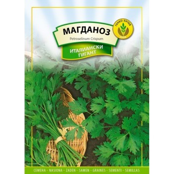 Магданоз Италиански гигант