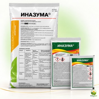 Иназума