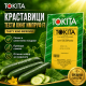 Краставици Тести Кинг Импруф F1 (Tasty king improved)